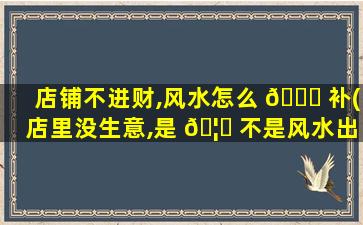 店铺不进财,风水怎么 🐈 补(店里没生意,是 🦅 不是风水出了问题)